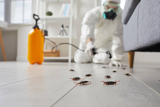 Trusted Fumigation Services service in New Union, TN - Nex Pest Control